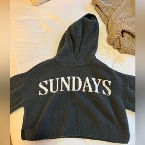 fluffy cropped hoodie. never been worn, super soft material with a hood